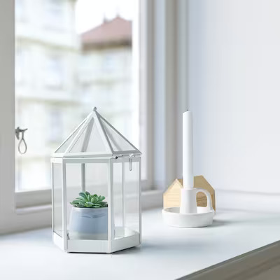 Decoration greenhouse